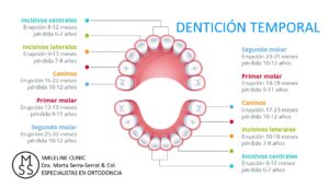 SMILELINE CLINIC - DRA.MARTA-SERRA-SERRAT - ESPECIALISTAS EN ORTODONCIA